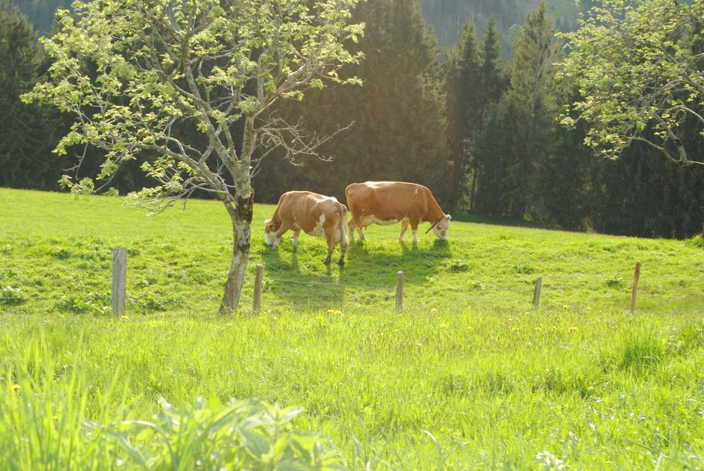 Appartement Siedlerhof à Hopfgarten im Brixental Extérieur photo